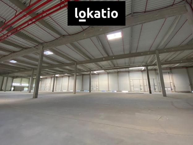 Pronájem skladu, Olomouc, 10800 m2