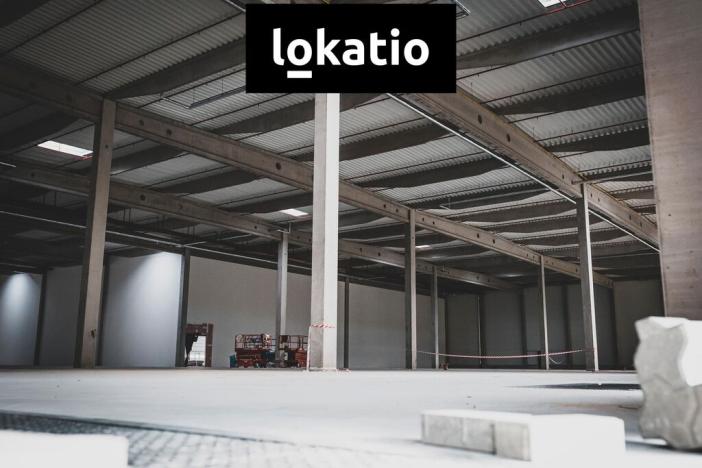 Pronájem výrobních prostor, Olomouc, 10242 m2