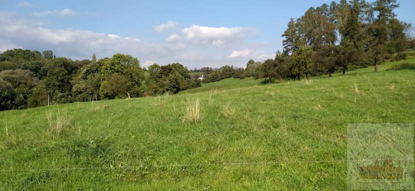 Prodej zemědělské půdy, 13818 m2