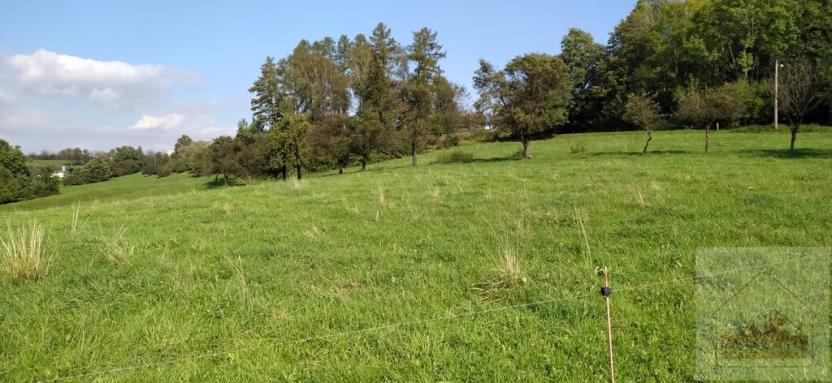 Prodej zemědělské půdy, 13818 m2