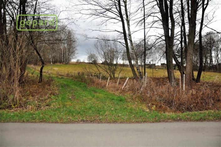 Prodej zemědělské půdy, Trhové Sviny, 4674 m2