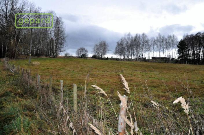 Prodej zemědělské půdy, Trhové Sviny, 4674 m2