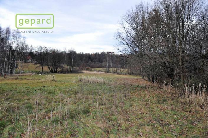 Prodej zemědělské půdy, Trhové Sviny, 4674 m2