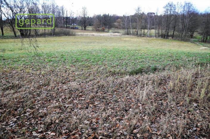 Prodej zemědělské půdy, Trhové Sviny, 4674 m2