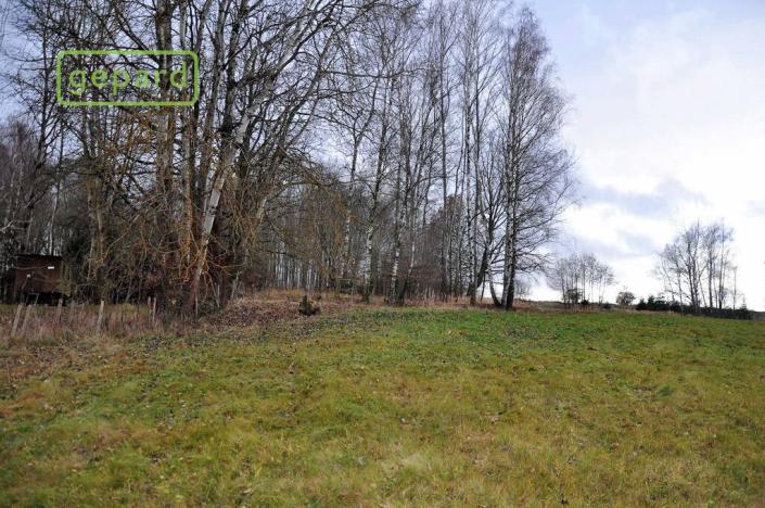 Prodej zemědělské půdy, Trhové Sviny, 4674 m2