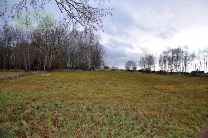 Prodej zemědělské půdy, Trhové Sviny, 4674 m2