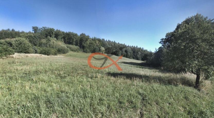 Prodej pole, Krhová, 6015 m2