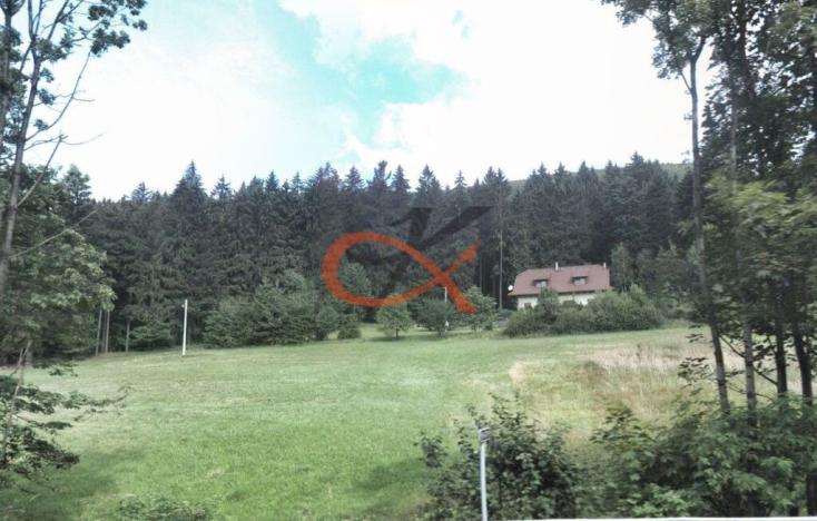 Prodej trvalého travního porostu, Rožnov pod Radhoštěm, Ostravská, 7218 m2