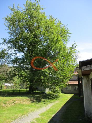 Prodej ubytování, Mikulůvka, 600 m2