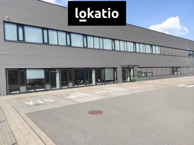 Pronájem skladu, Solnice, Průmyslová, 13143 m2