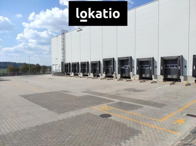 Pronájem skladu, Solnice, Průmyslová, 5456 m2