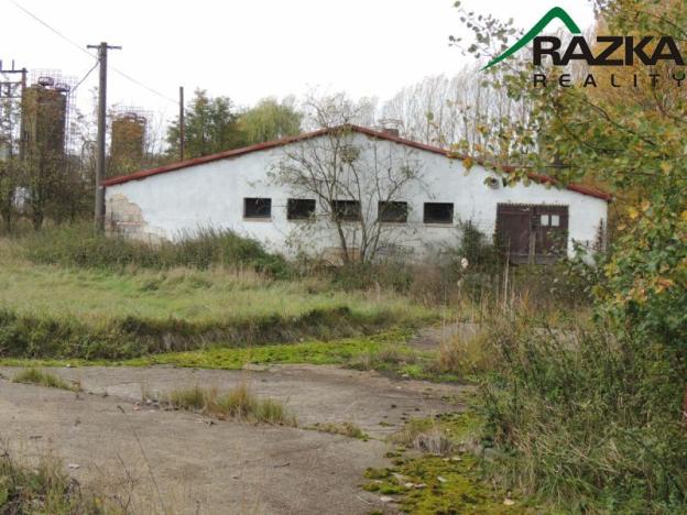 Prodej zemědělského objektu, Přimda - Velké Dvorce, Velké Dvorce, 5633 m2