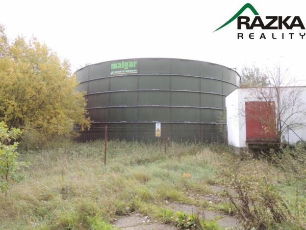 Prodej zemědělského objektu, Přimda - Velké Dvorce, Velké Dvorce, 5633 m2