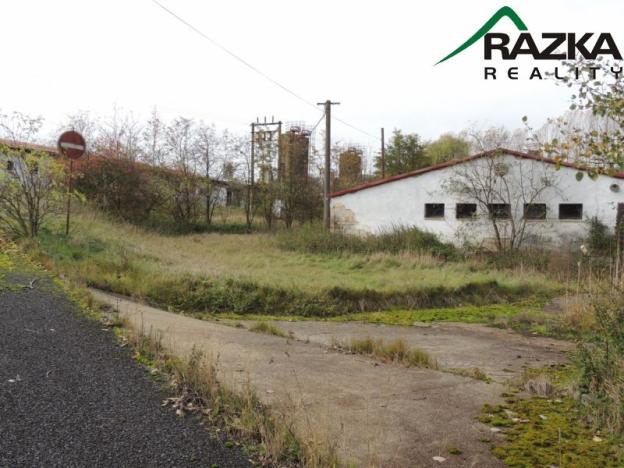 Prodej zemědělského objektu, Přimda - Velké Dvorce, Velké Dvorce, 5633 m2