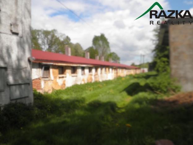 Prodej zemědělského objektu, Přimda - Velké Dvorce, Velké Dvorce, 5633 m2