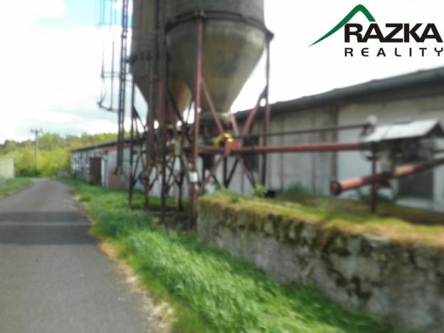 Prodej zemědělského objektu, Přimda - Velké Dvorce, Velké Dvorce, 5633 m2