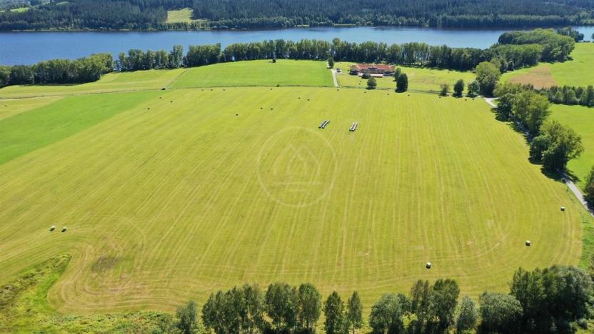 Prodej zemědělské půdy, Horní Planá, 92549 m2