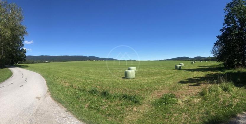 Prodej zemědělské půdy, Horní Planá, 92549 m2