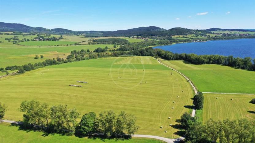 Prodej zemědělské půdy, Horní Planá, 92549 m2