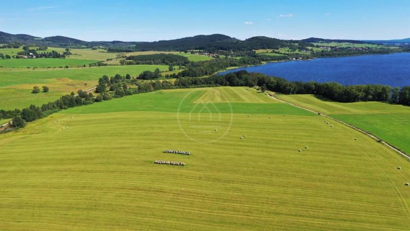 Prodej zemědělské půdy, Horní Planá, 92549 m2