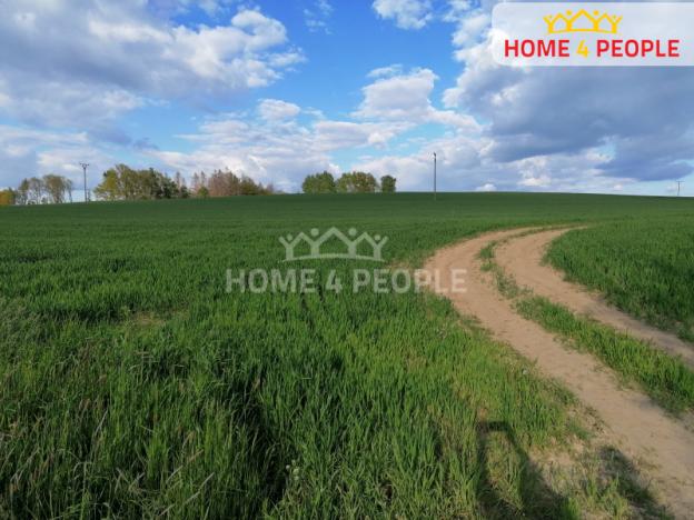 Prodej pozemku pro bydlení, Putimov, 62245 m2