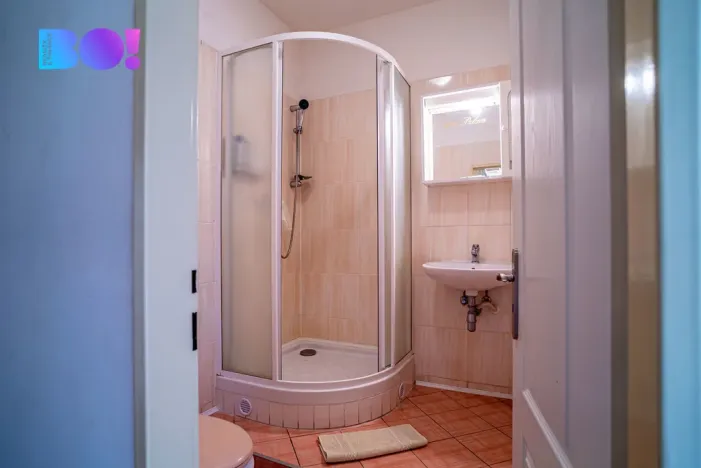 Prodej vily, Frýdek-Místek - Frýdek, Slezská, 1650 m2