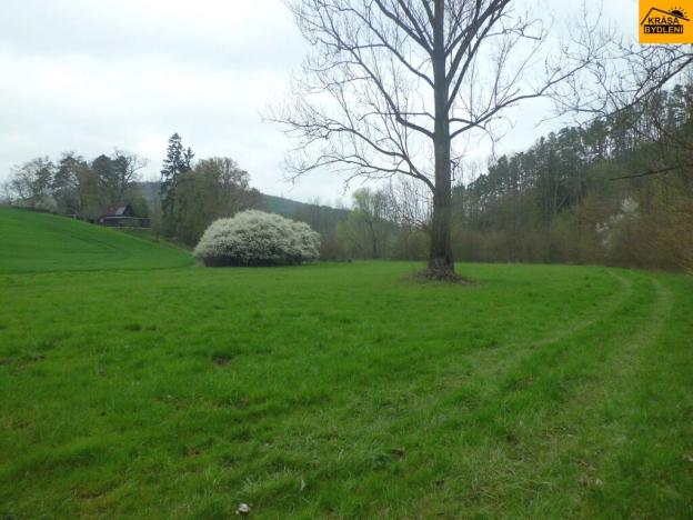 Prodej trvalého travního porostu, Zdětín, 4250 m2