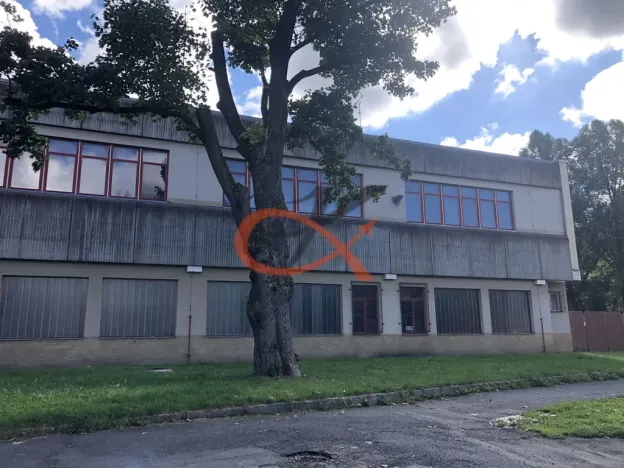 Pronájem výrobních prostor, Kraslice, Dukelská, 150 m2