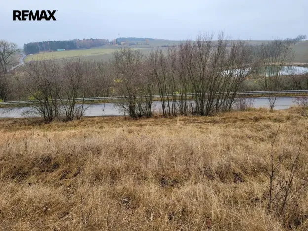 Prodej trvalého travního porostu, Třebsko, 6483 m2