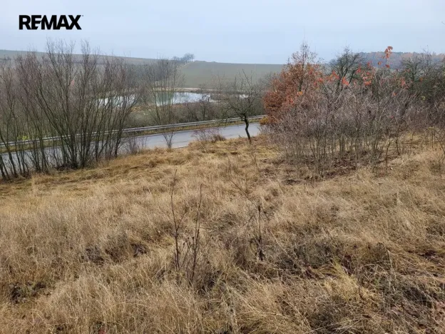 Prodej trvalého travního porostu, Třebsko, 6483 m2