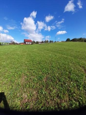 Pronájem zahrady, Závišice, 600 m2