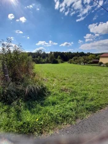 Pronájem zahrady, Závišice, 600 m2