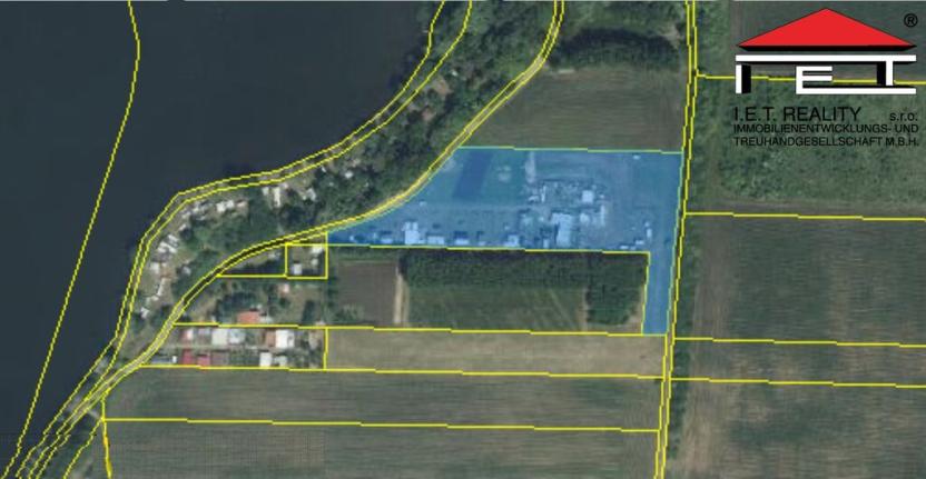 Prodej pozemku, Přítluky - Nové Mlýny, 11100 m2