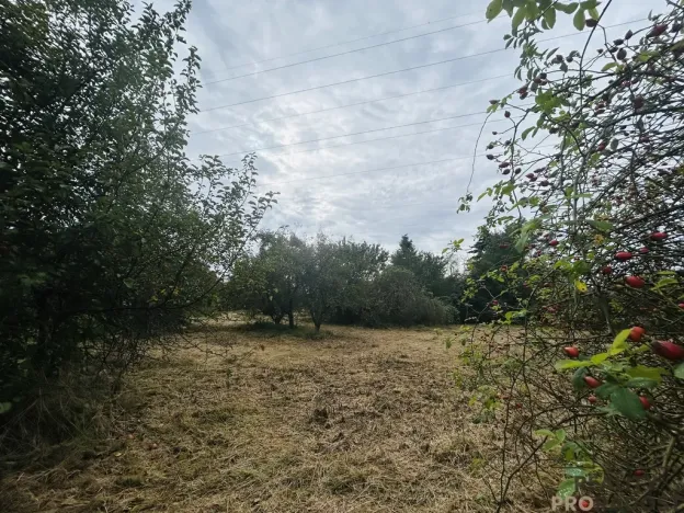 Prodej zahrady, Hodonín, 1611 m2