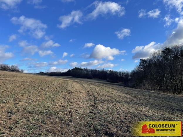 Prodej zahrady, Blansko - Těchov, 2458 m2