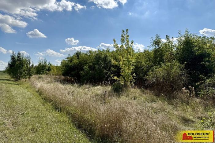 Prodej pozemku pro komerční výstavbu, Znojmo, 21190 m2