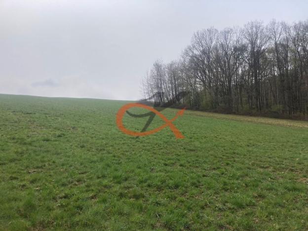 Prodej pozemku pro bydlení, Háj ve Slezsku, 9208 m2