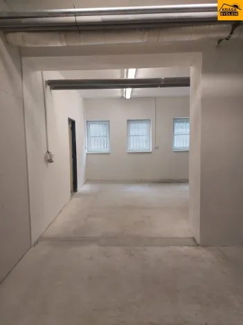 Pronájem skladu, Olomouc, Řepčínská, 50 m2