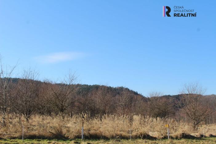 Prodej pozemku, Karlovy Vary - Doubí, Horní alej, 6300 m2