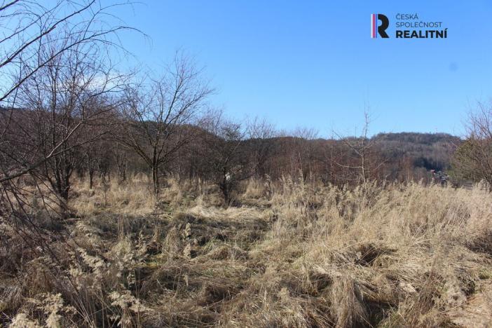 Prodej pozemku, Karlovy Vary - Doubí, Horní alej, 6300 m2