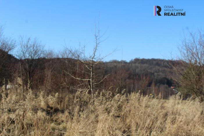 Prodej pozemku, Karlovy Vary - Doubí, Horní alej, 6300 m2