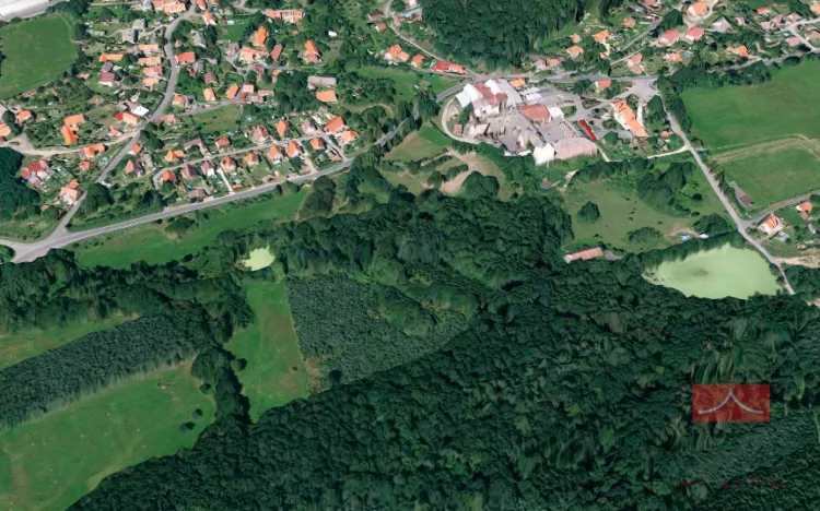 Prodej trvalého travního porostu, Vysoký Chlumec, 16339 m2