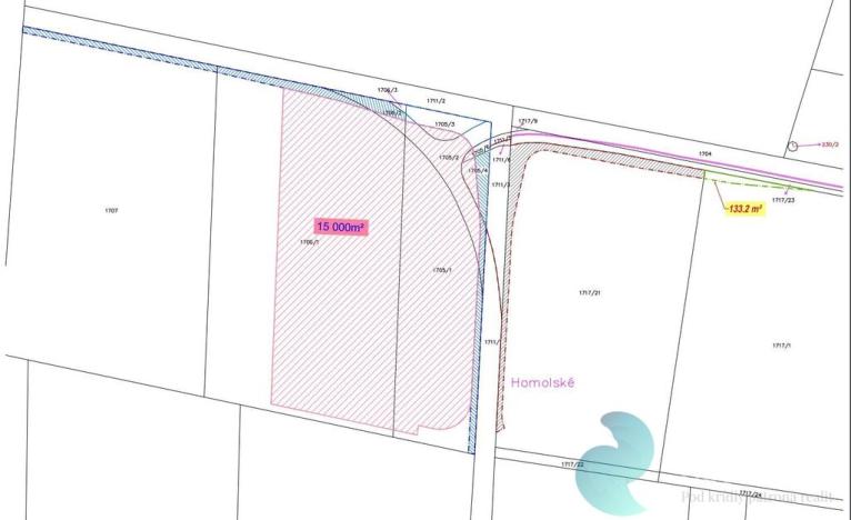 Prodej komerčního pozemku, Planá, 15000 m2
