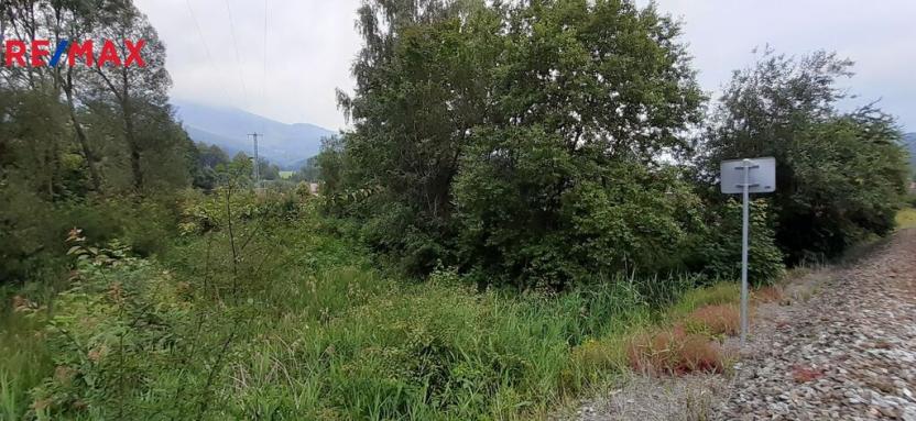 Prodej louky, Loučná nad Desnou, 2427 m2