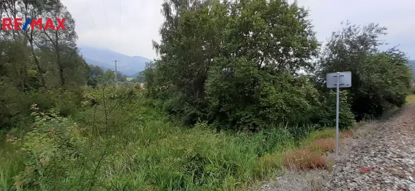 Prodej louky, Loučná nad Desnou, 2427 m2