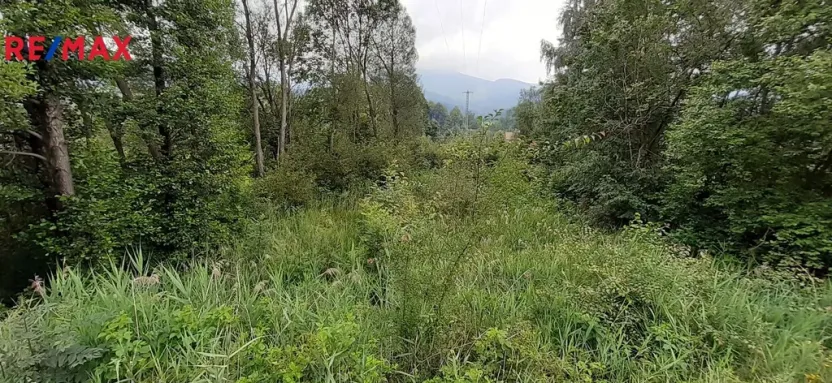 Prodej louky, Loučná nad Desnou, 2427 m2