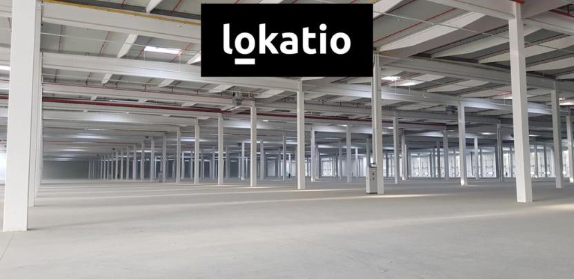 Pronájem skladu, Podbořany, 5000 m2