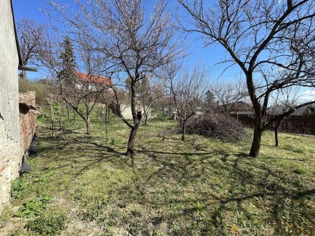 Prodej vinného sklepa, Valtice, 60 m2