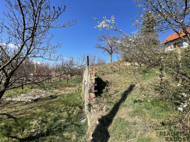 Prodej vinného sklepa, Valtice, 60 m2