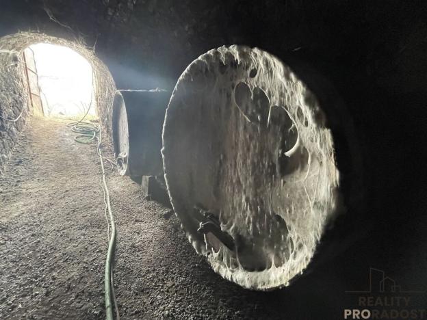 Prodej vinného sklepa, Valtice, 60 m2